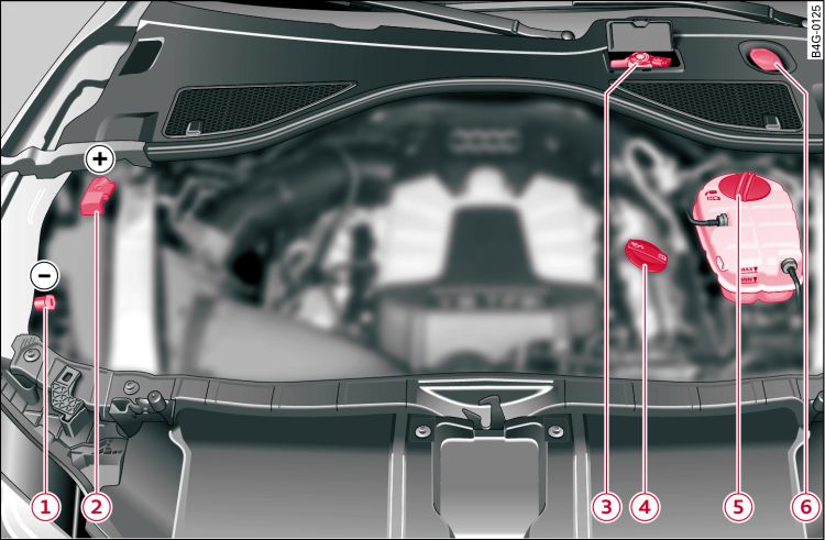 Typical locations of fluid containers and engine oil filler cap